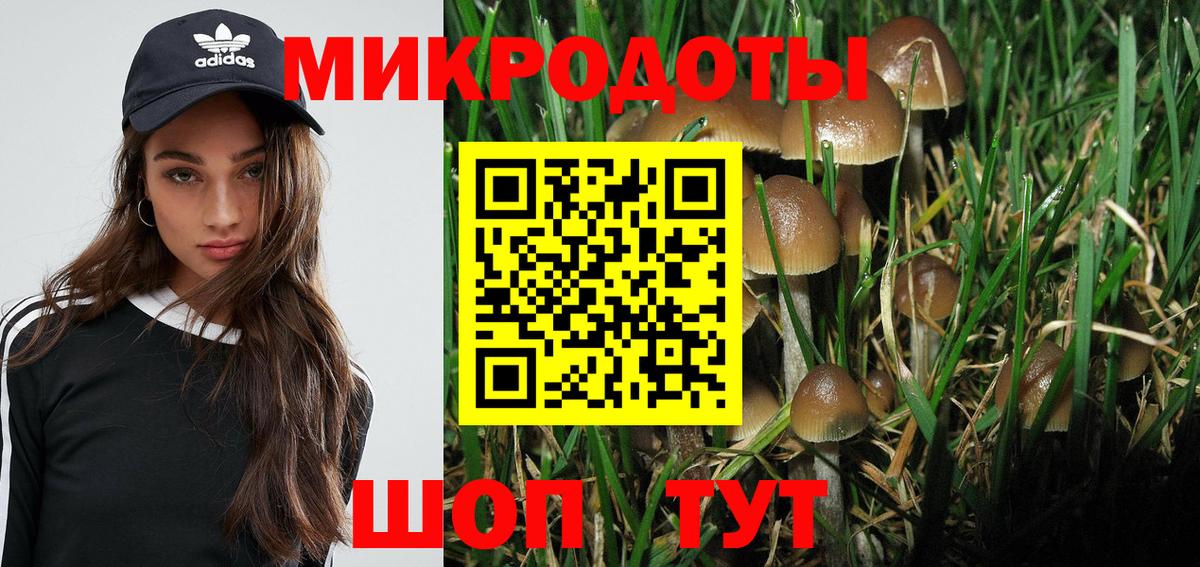 Псилоцибиновые грибы Psilocybine cubensis Красногорск