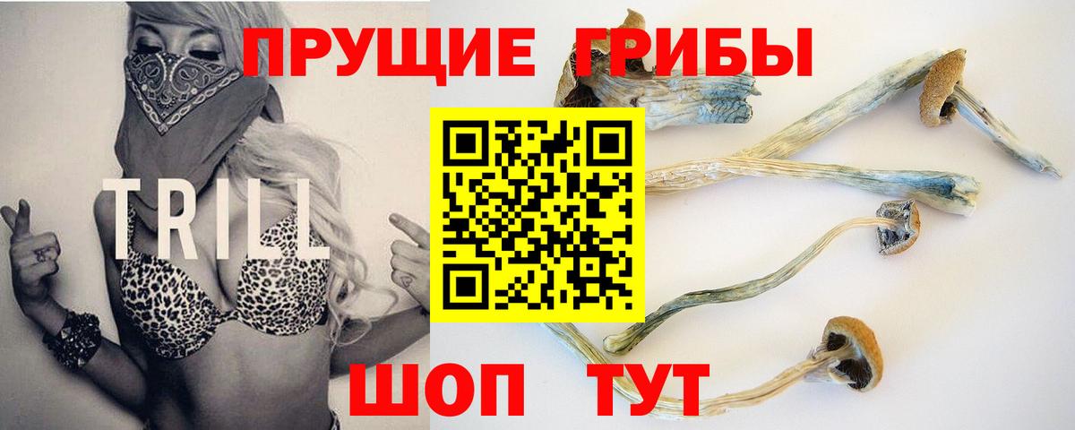 Псилоцибиновые грибы мицелий  Вход с VPN  Галлюциногенные грибы Cubensis  Красногорск 